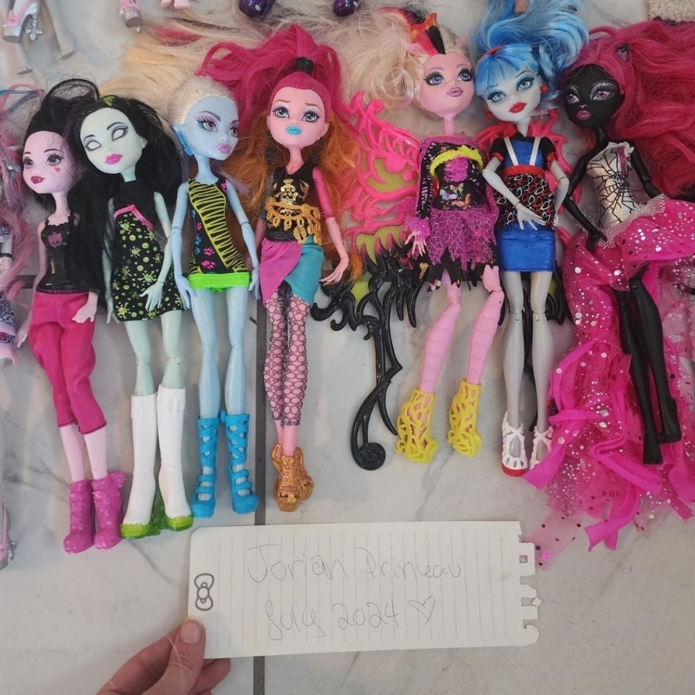 Monster high bundle